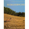 Berghirsche