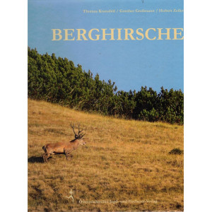 Berghirsche