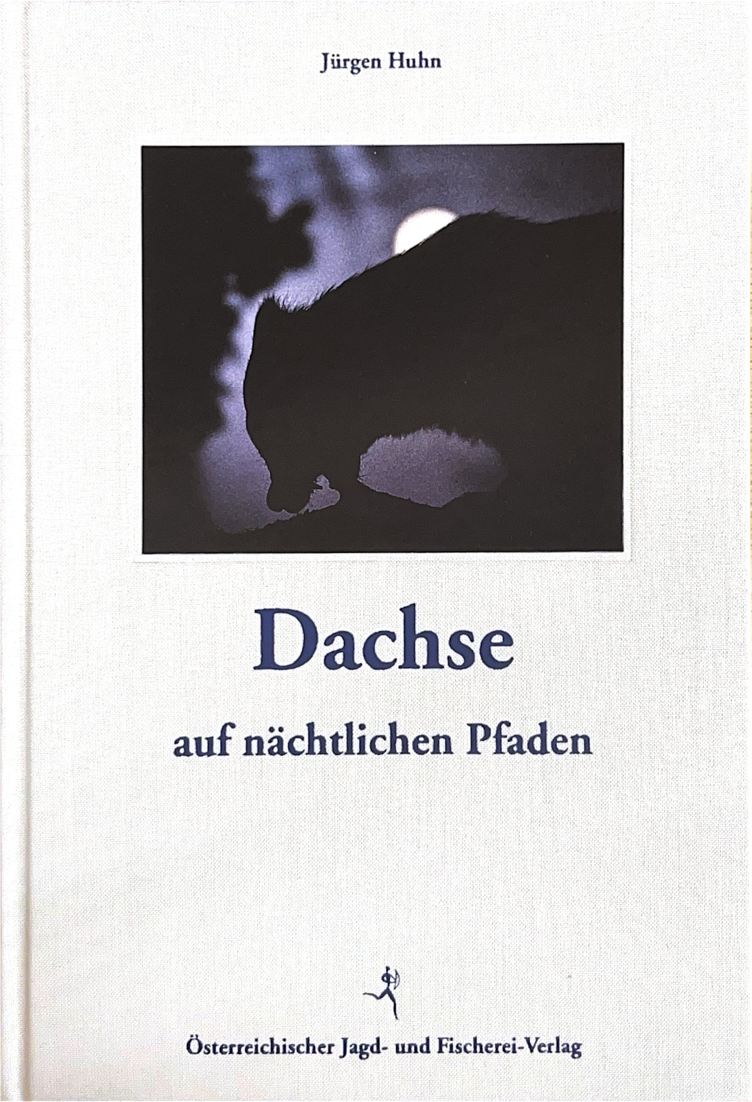 Dachse auf nächtlichen Pfaden