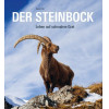 Der Steinbock - Leben auf schmalem Grat