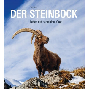 Der Steinbock - Leben auf schmalem Grat