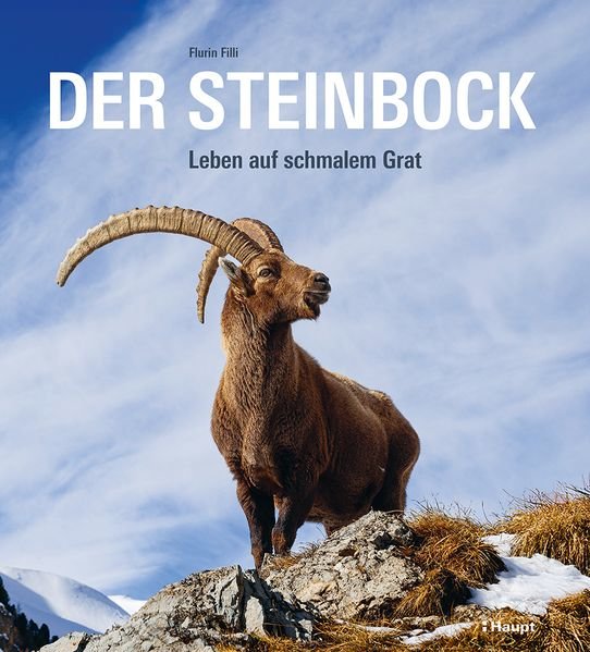 Der Steinbock - Leben auf schmalem Grat