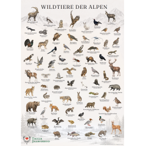 Wildtiere der Alpen Poster